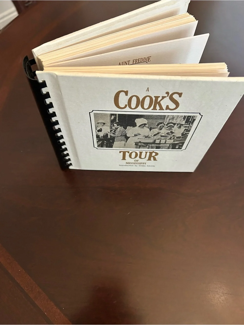 A Cook's Tour of Mississippi Cookbook - Vintage Cookbook